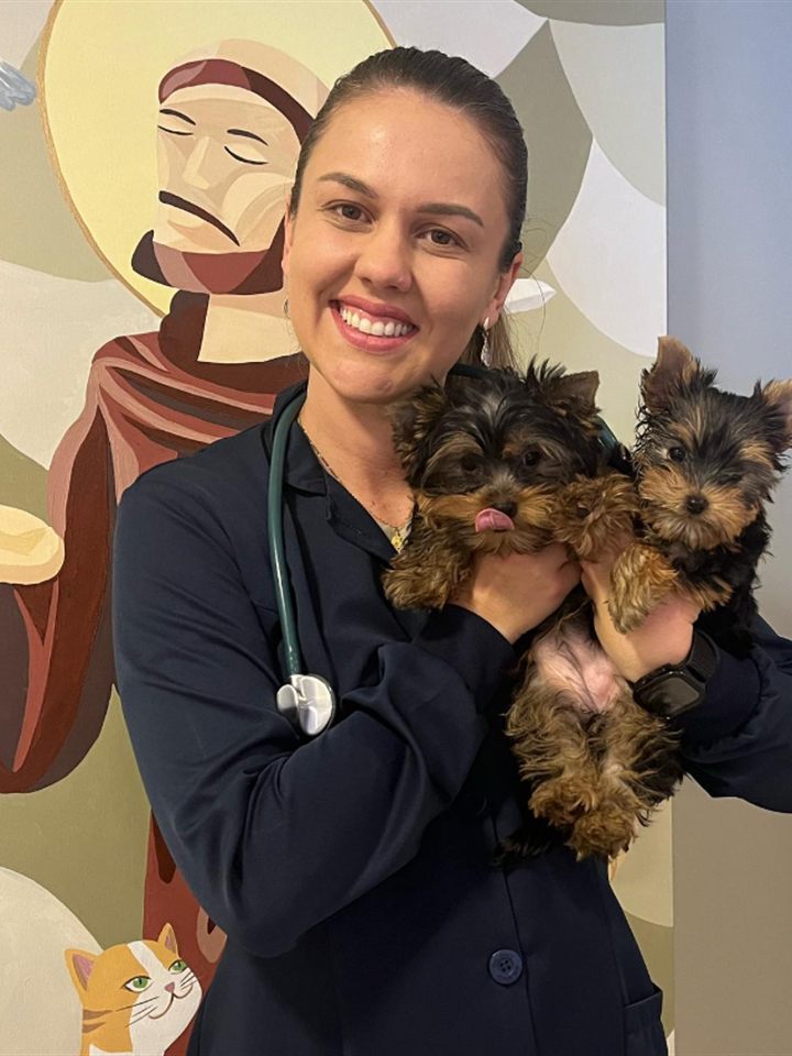Dra. Priscila Borges, médica-veterinária, em atendimento no consultório